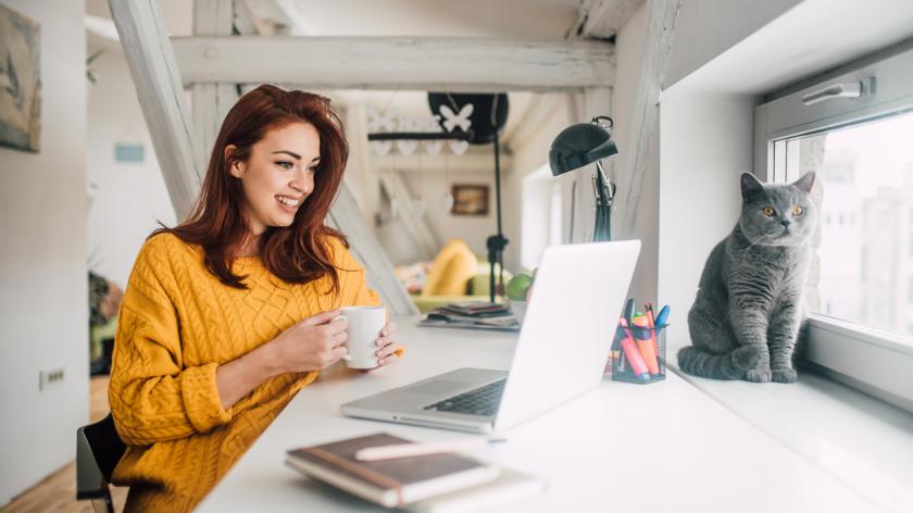 ( Executive Assistant ) Wayfair Jobs Remote, Virtual Assistant Jobs @ Jobinus Apply Now!!